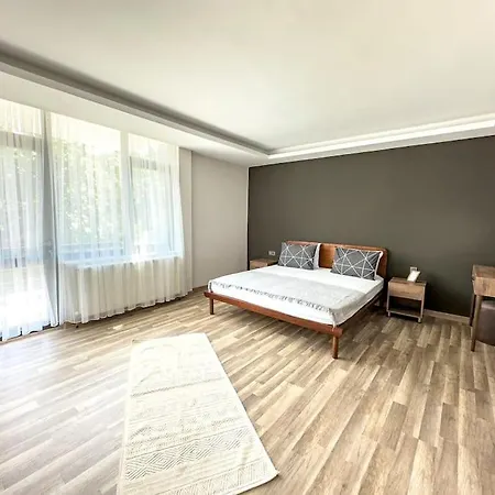 111-luxury Concept Family House